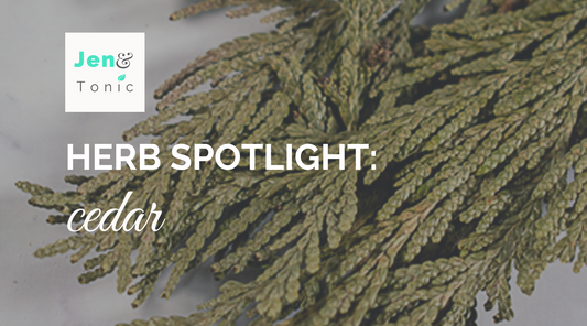 Herb spotlight: cedar properties, uses, and lore