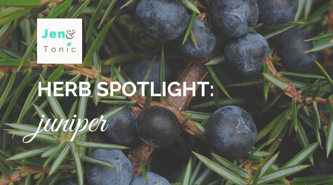 Herb spotlight: juniper properties, uses, and lore