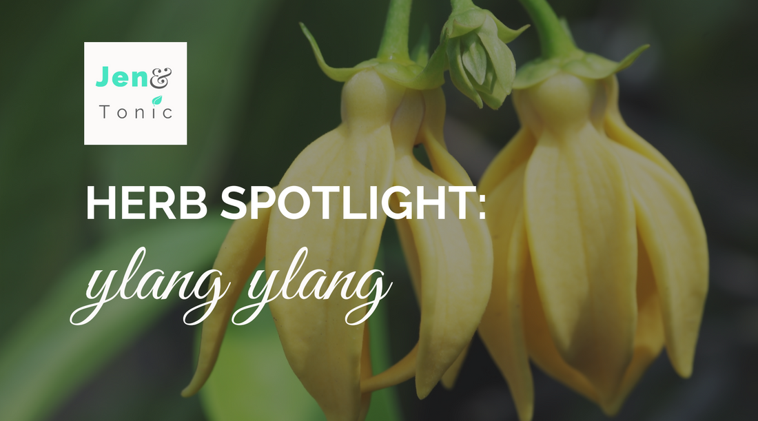 Herb Spotlight: Ylang ylang properties, uses, and lore