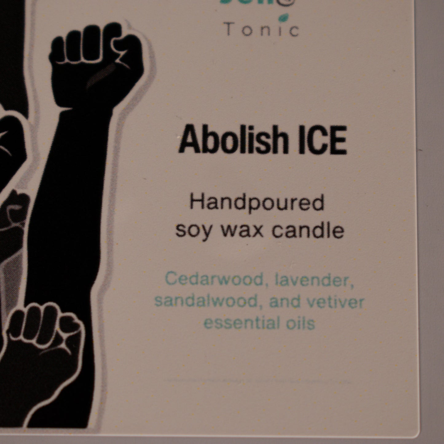 Abolish ICE soy wax wood wick candle
