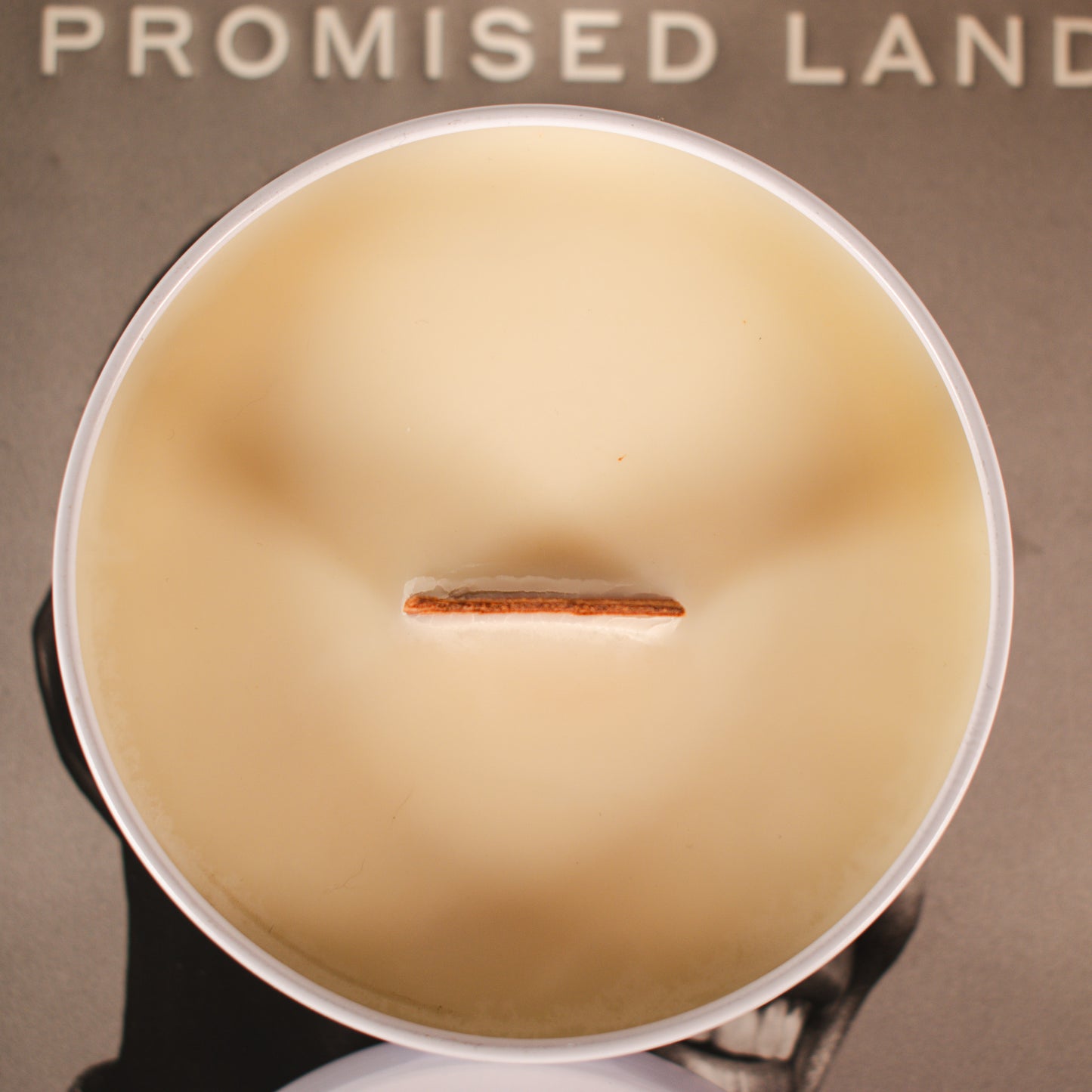 Abolish ICE soy wax wood wick candle