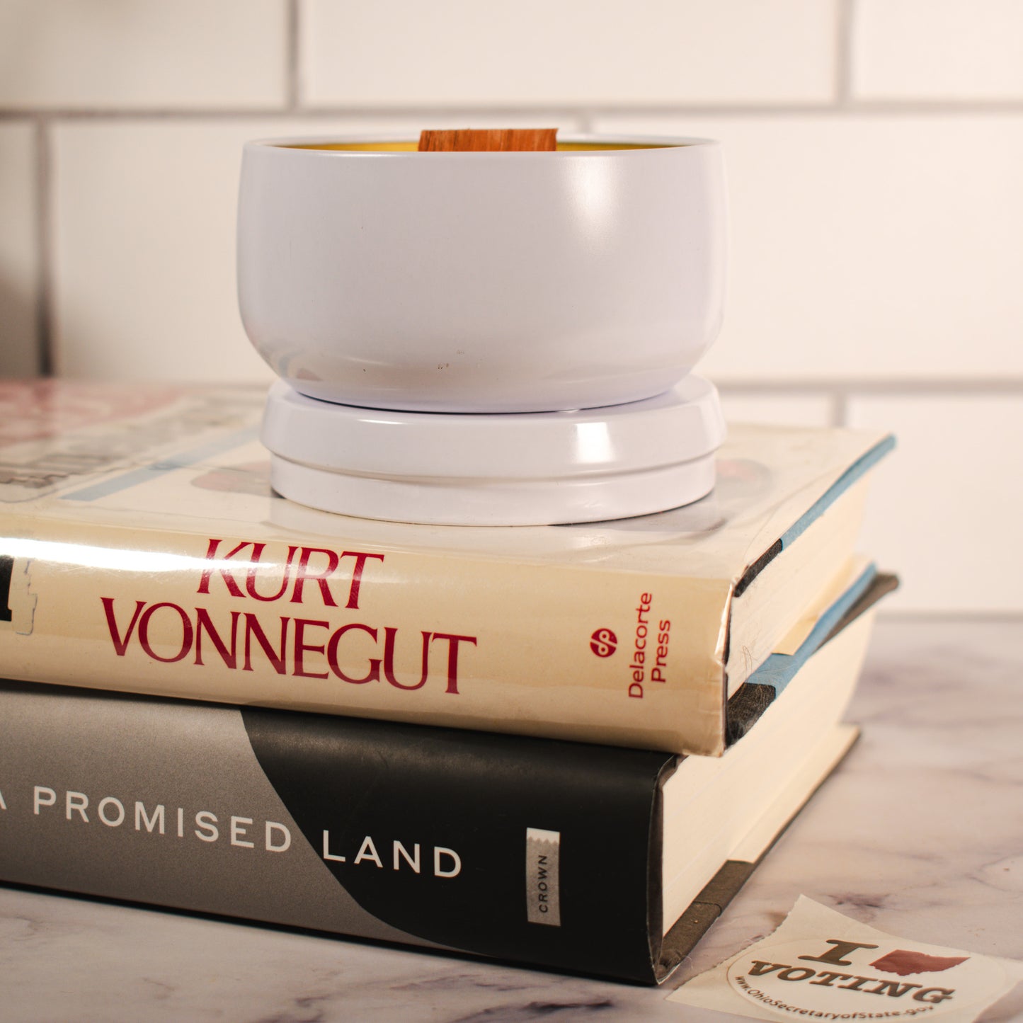 Abolish ICE soy wax wood wick candle