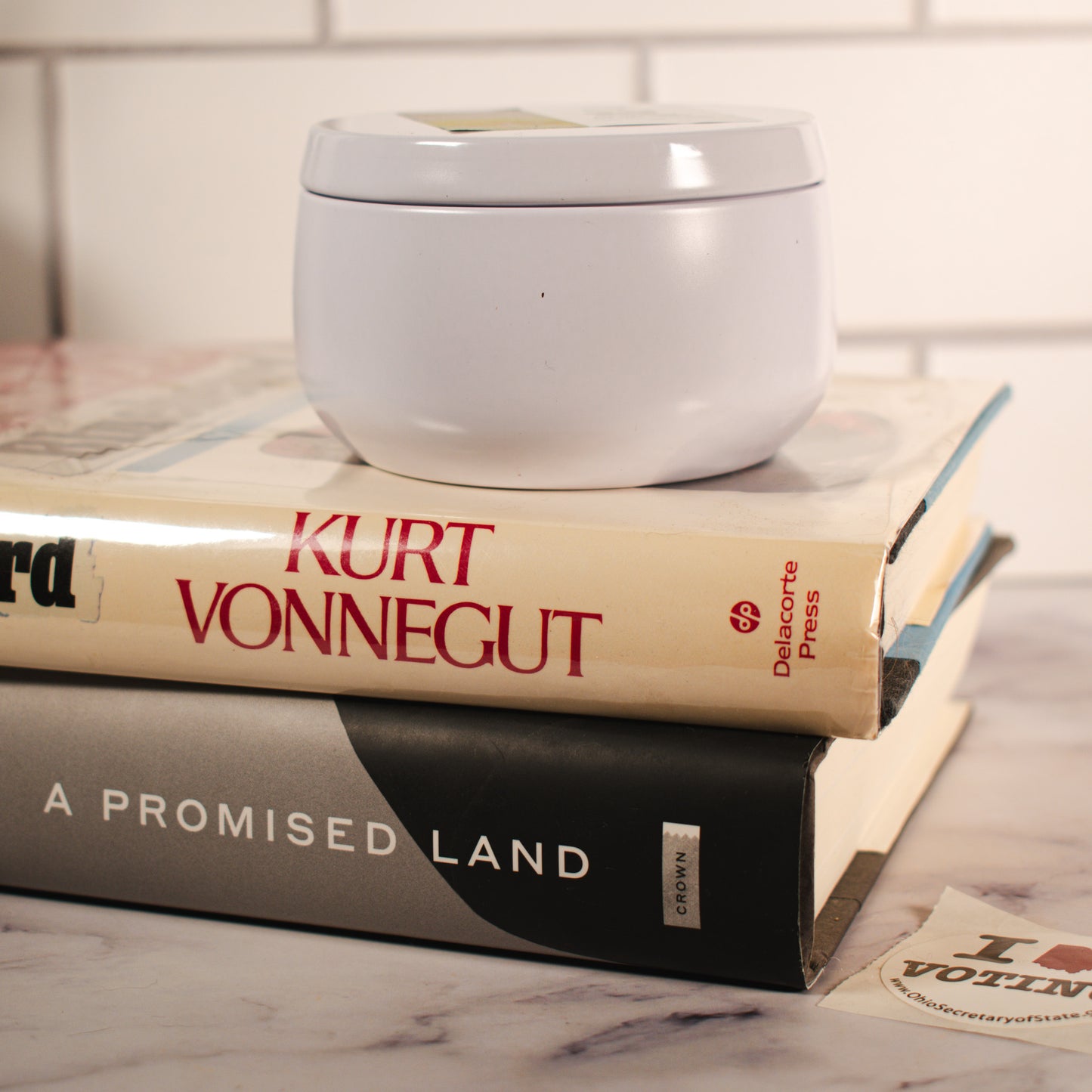 Abolish ICE soy wax wood wick candle