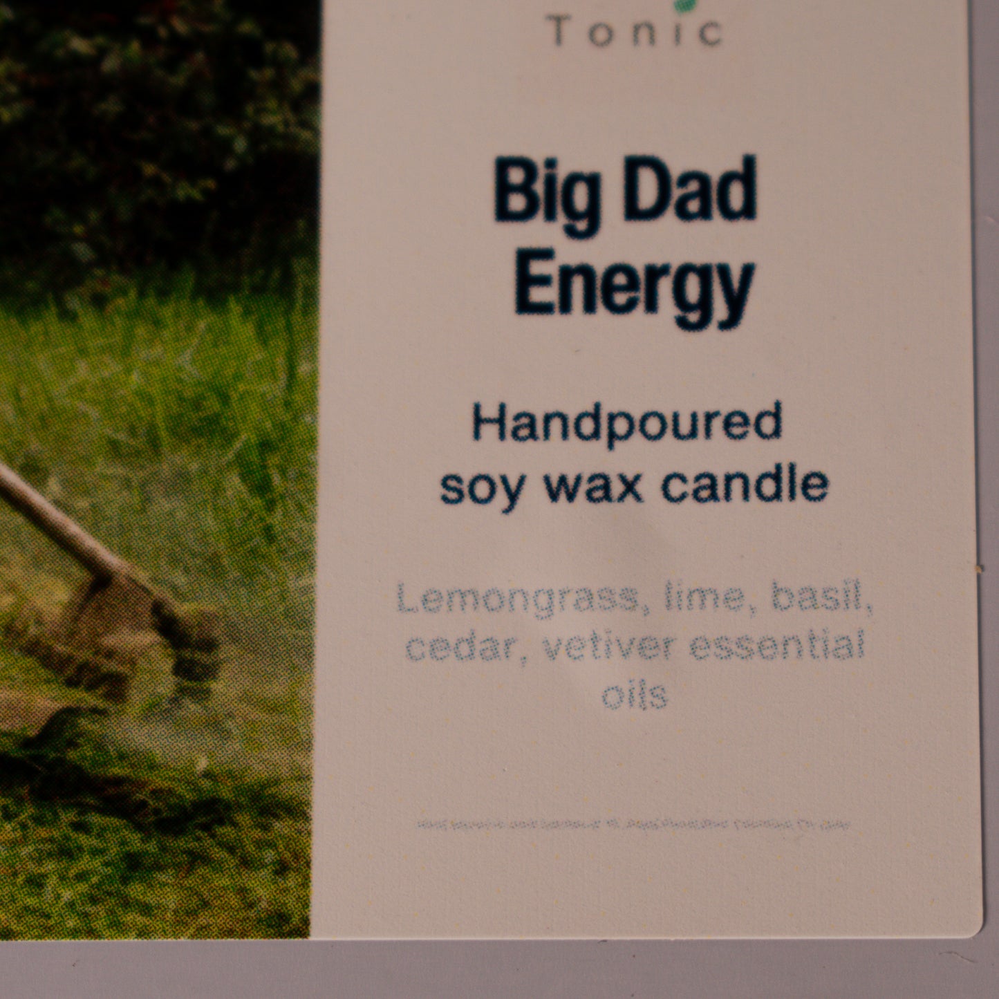 Big Dad Energy soy wax wood wick candle