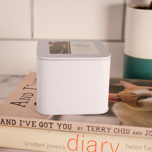 Childless Cat Lady soy wax wood wick candle