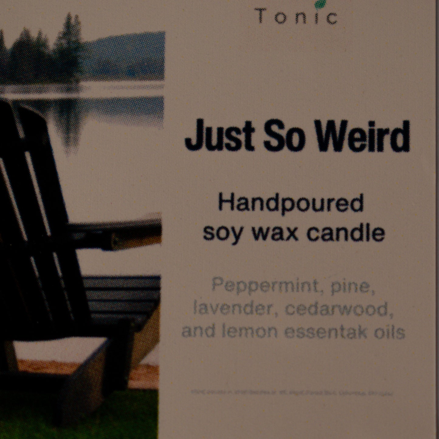 Just So Weird soy wax wood wick candle